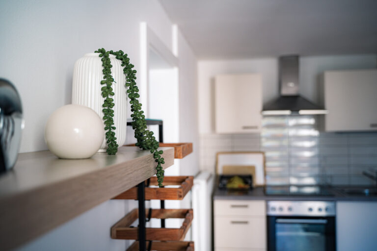Apartment Burgblick, Ambiente